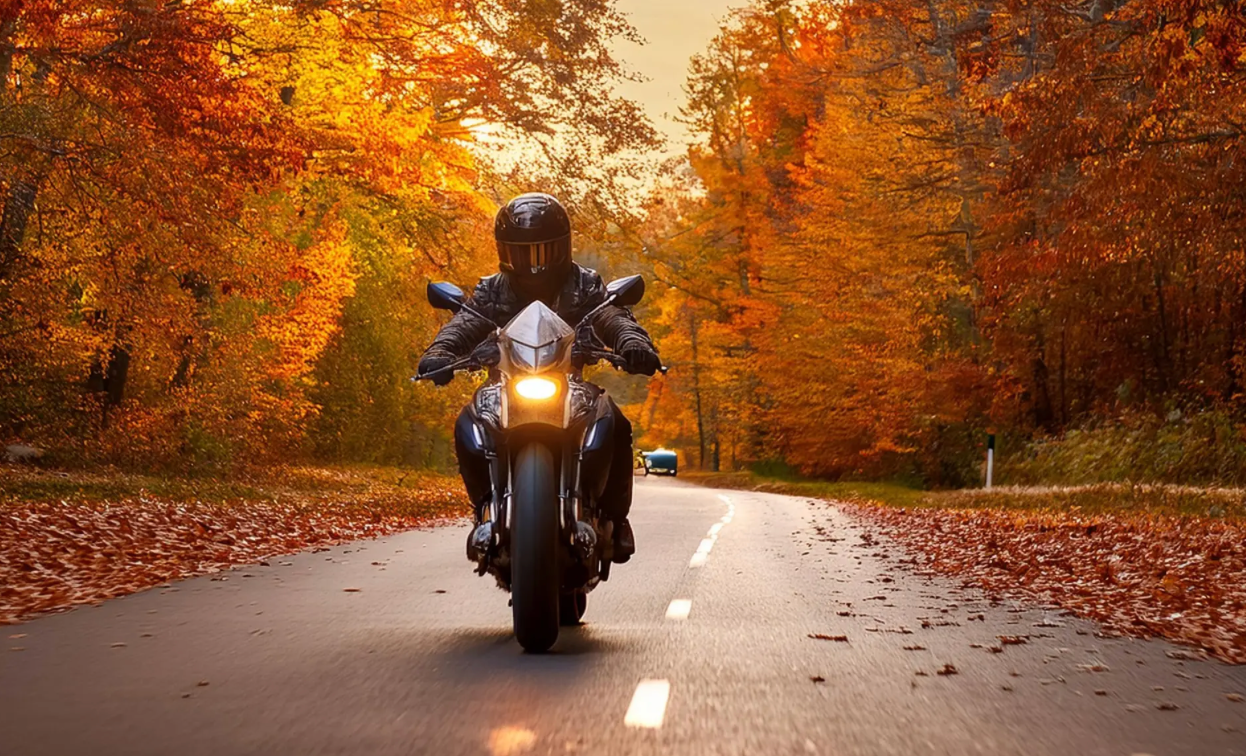 Protecting Your Motorcycle During the Wet Autumn Months with Storm Motorcycle Covers